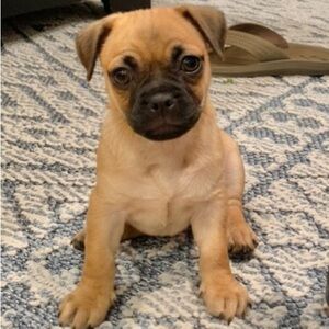 Meet your Posher, Cheryl